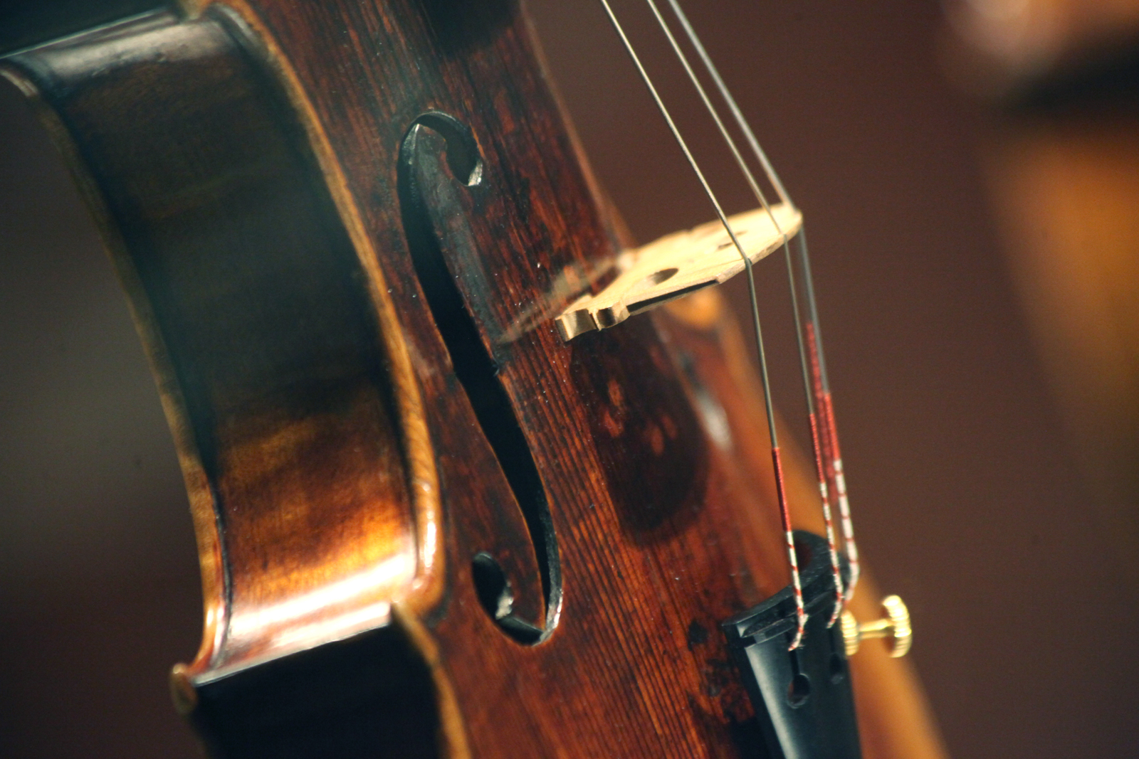 «Времена года» в Школе акварели Сергея Андрияки – события на сайте «Московские Сезоны»