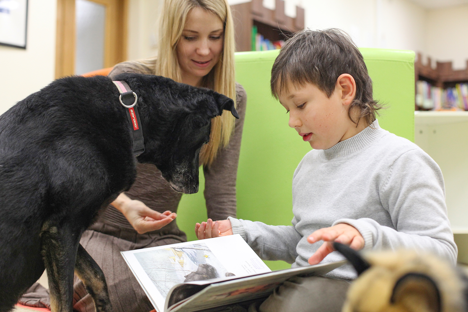 «Чтения с библиотечной собакой» в Культурном центре «ЗИЛ» – события на сайте «Московские Сезоны»