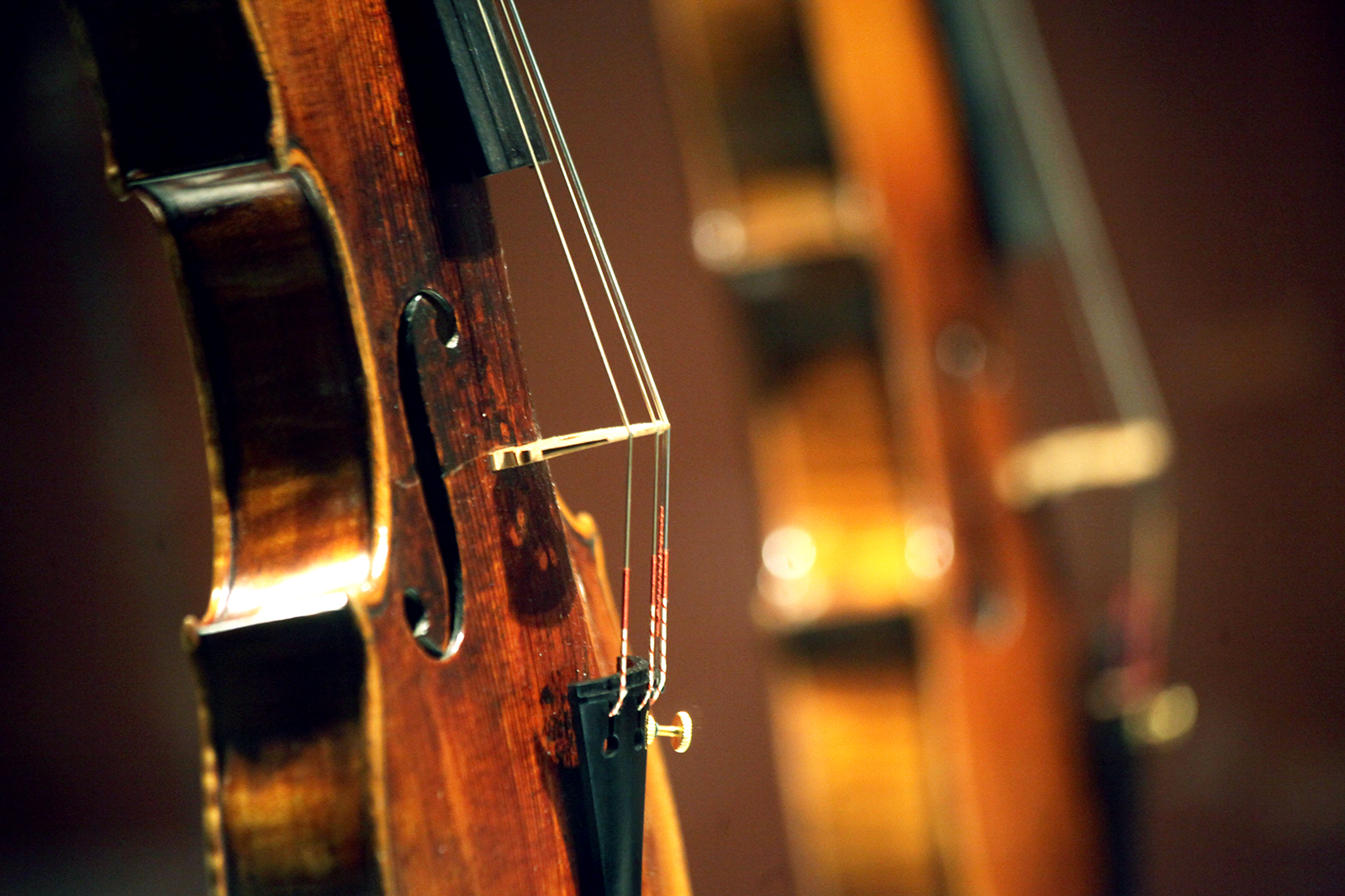 «Великие итальянцы» в усадьбе Зубовых – события на сайте «Московские Сезоны»