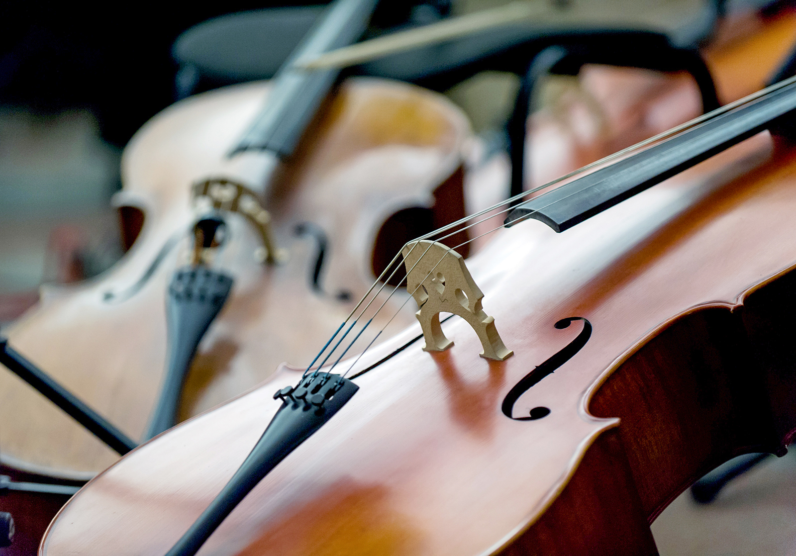 Концерт «Тургенев. Встречи. Лица и лики…» в Государственном музее А.С. Пушкина – события на сайте «Московские Сезоны»