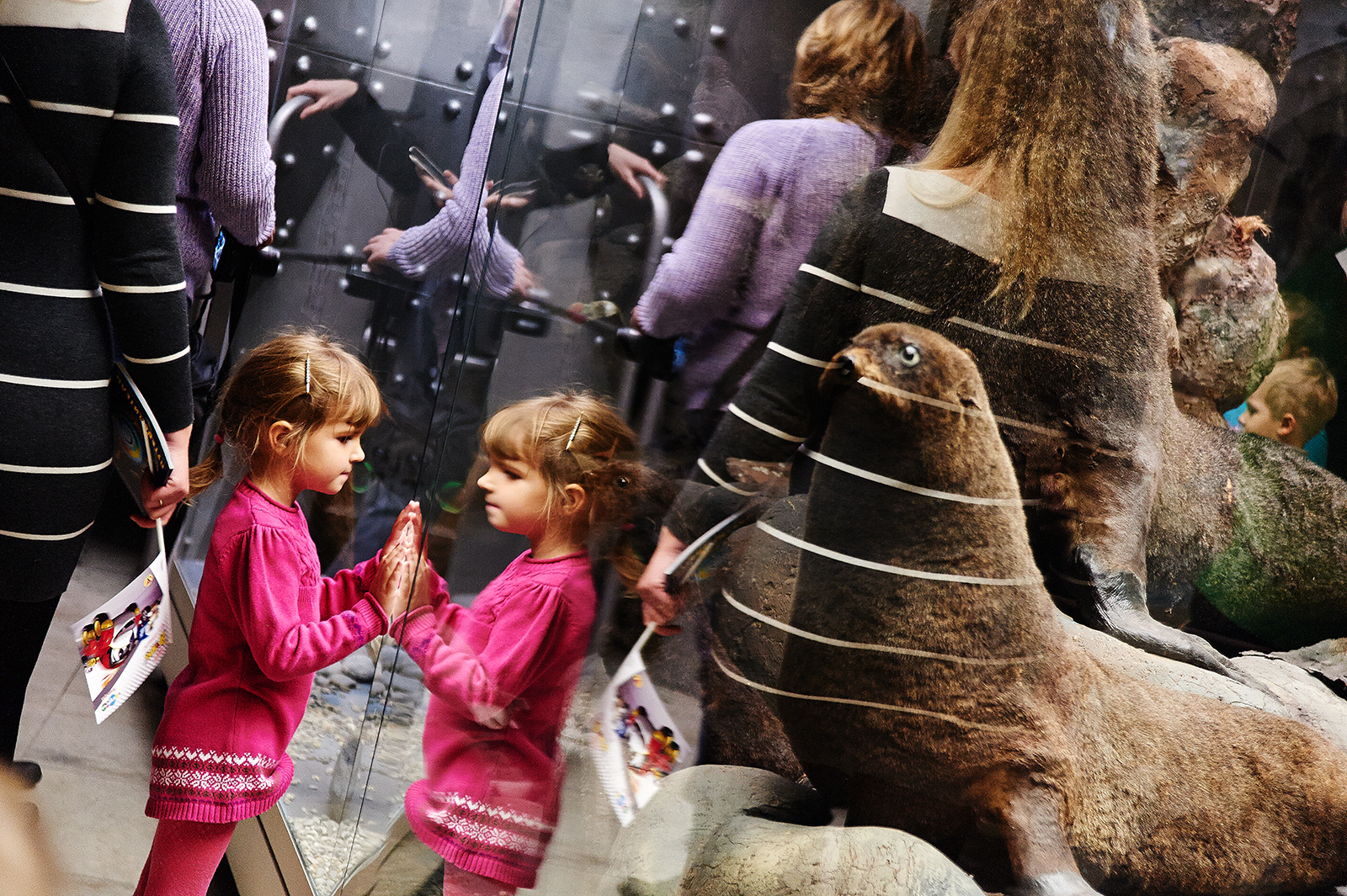 «Назад в воду» в Дарвиновском музее – события на сайте «Московские Сезоны»