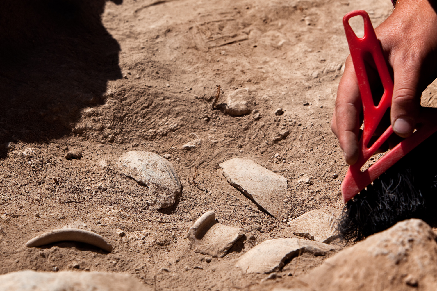 Лекция «Находки моей улицы» – события на сайте «Московские Сезоны»