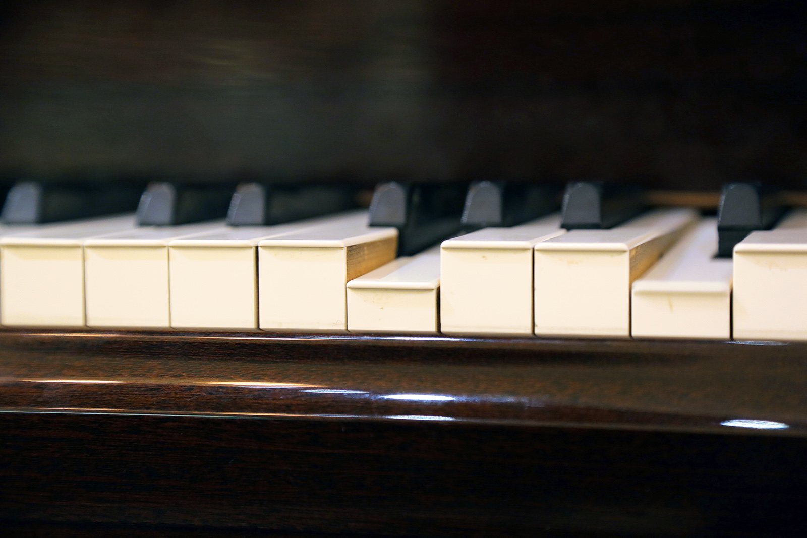 Гала-концерт II Международного фестиваля вокального искусства «Тембр» – события на сайте «Московские Сезоны»