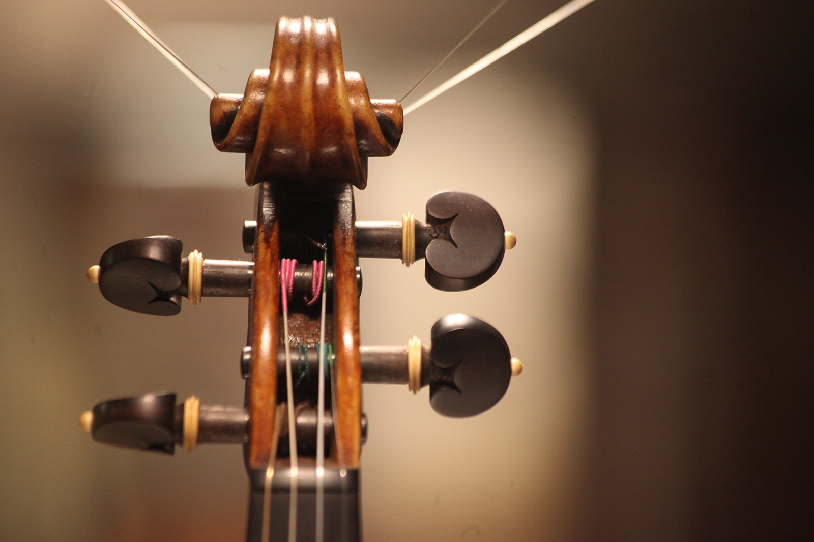 «Эхо во дворце» в музее-заповеднике «Царицыно» – события на сайте «Московские Сезоны»