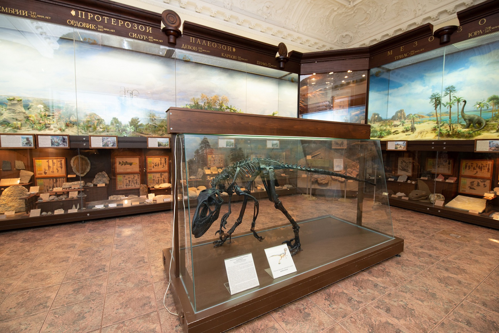 Лекция, посвященная кимберелле, в Музее Тимирязева – события на сайте «Московские Сезоны»