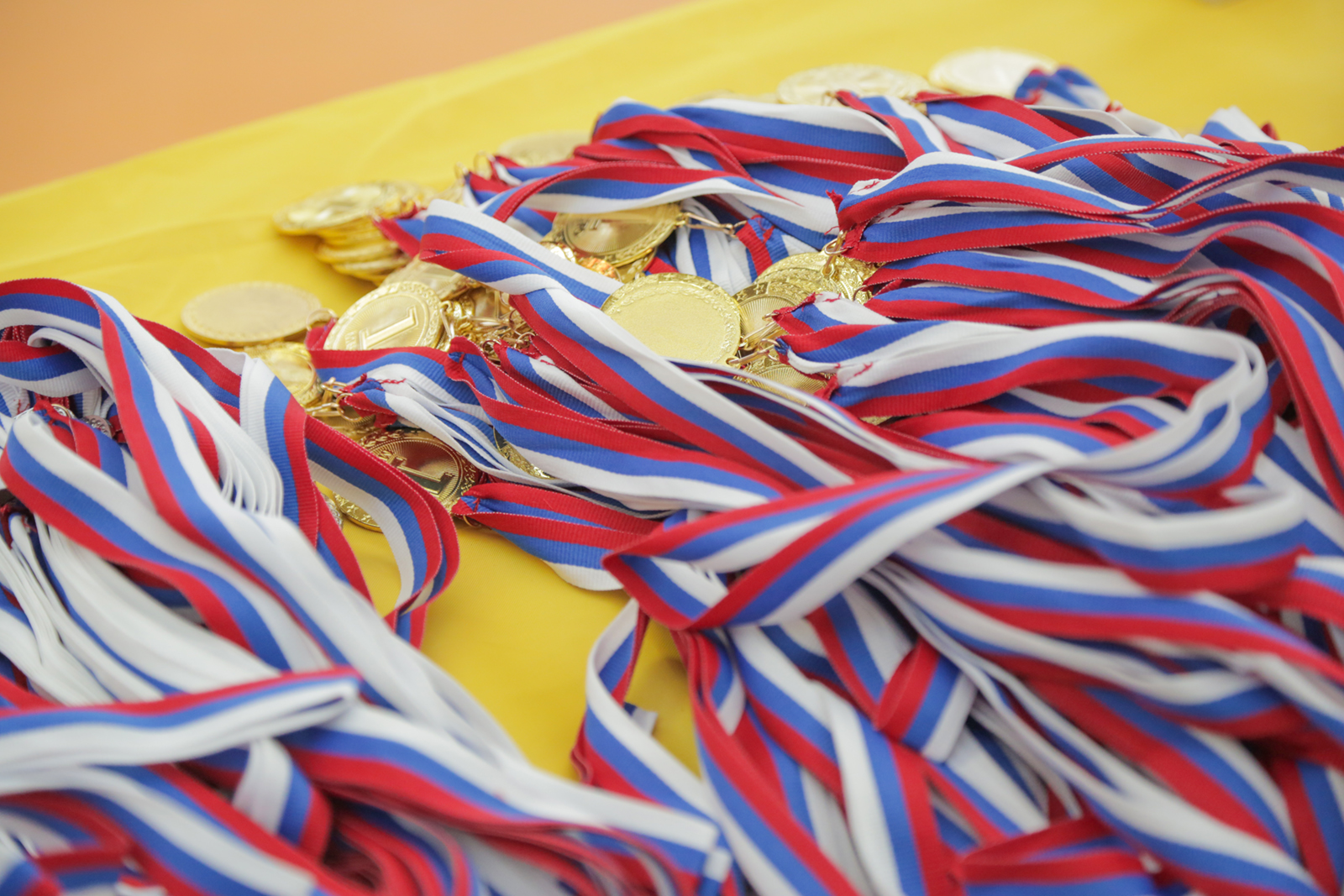 Турнир по сумо между сборными Москвы и Японии – события на сайте «Московские Сезоны»