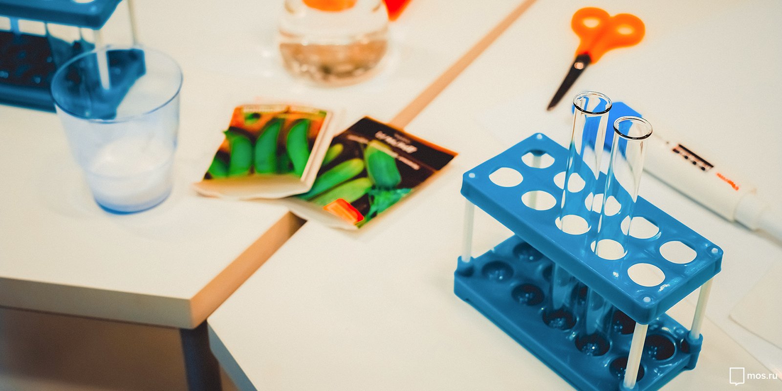 «Био-арт» в парке «Зарядье» – события на сайте «Московские Сезоны»