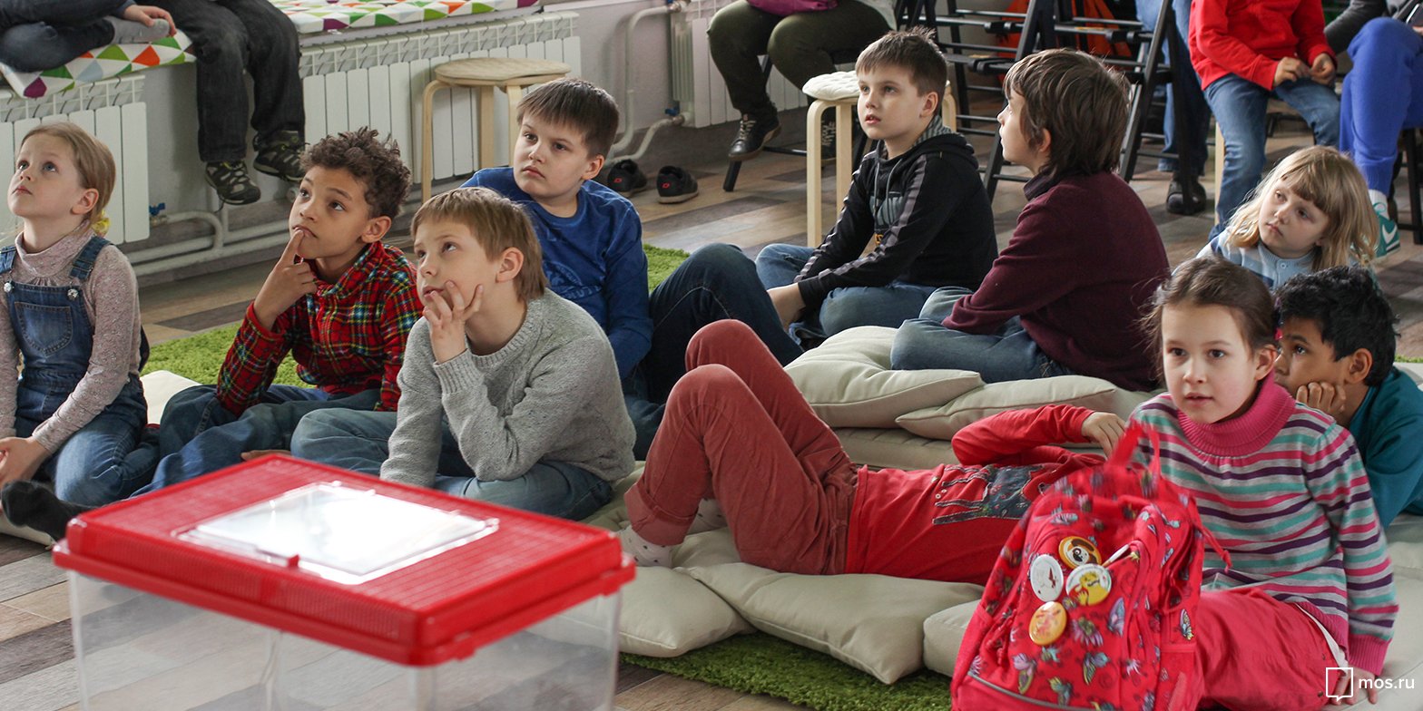 Лекция «“Нас подгоняет зимы приближение”: перелеты птиц» в Московском зоопарке – события на сайте «Московские Сезоны»