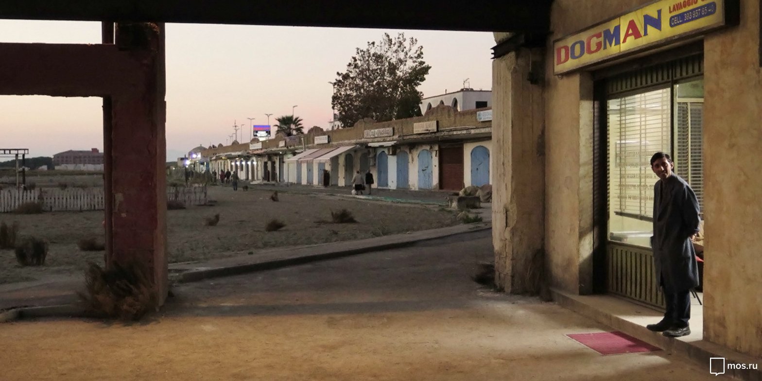 «Догмэн» в сети кинотеатров «Москино» – события на сайте «Московские Сезоны»