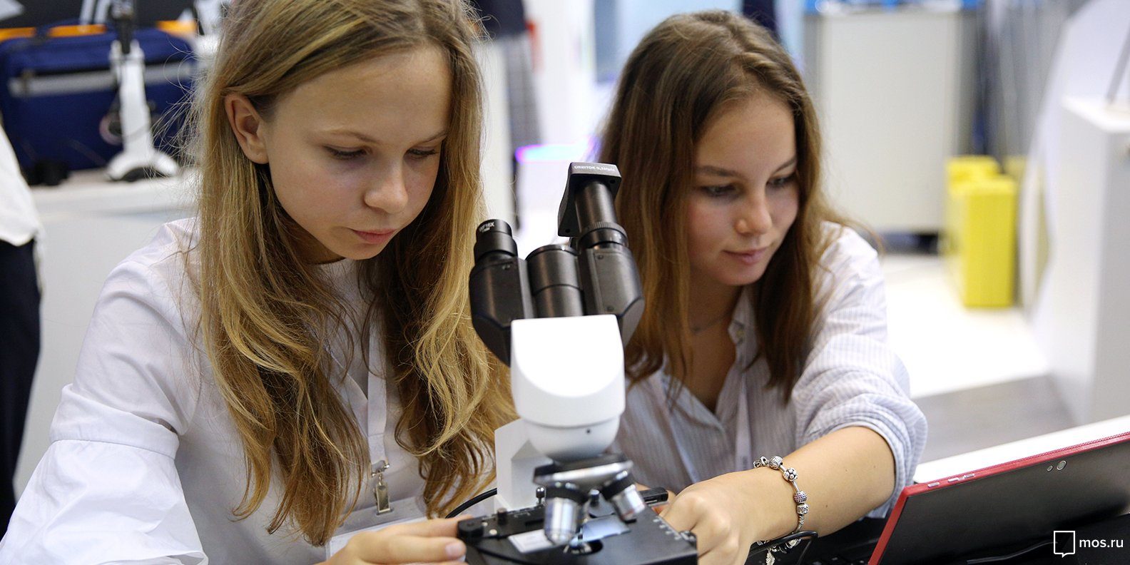 «Белоснежная улыбка» в парке «Зарядье» – события на сайте «Московские Сезоны»