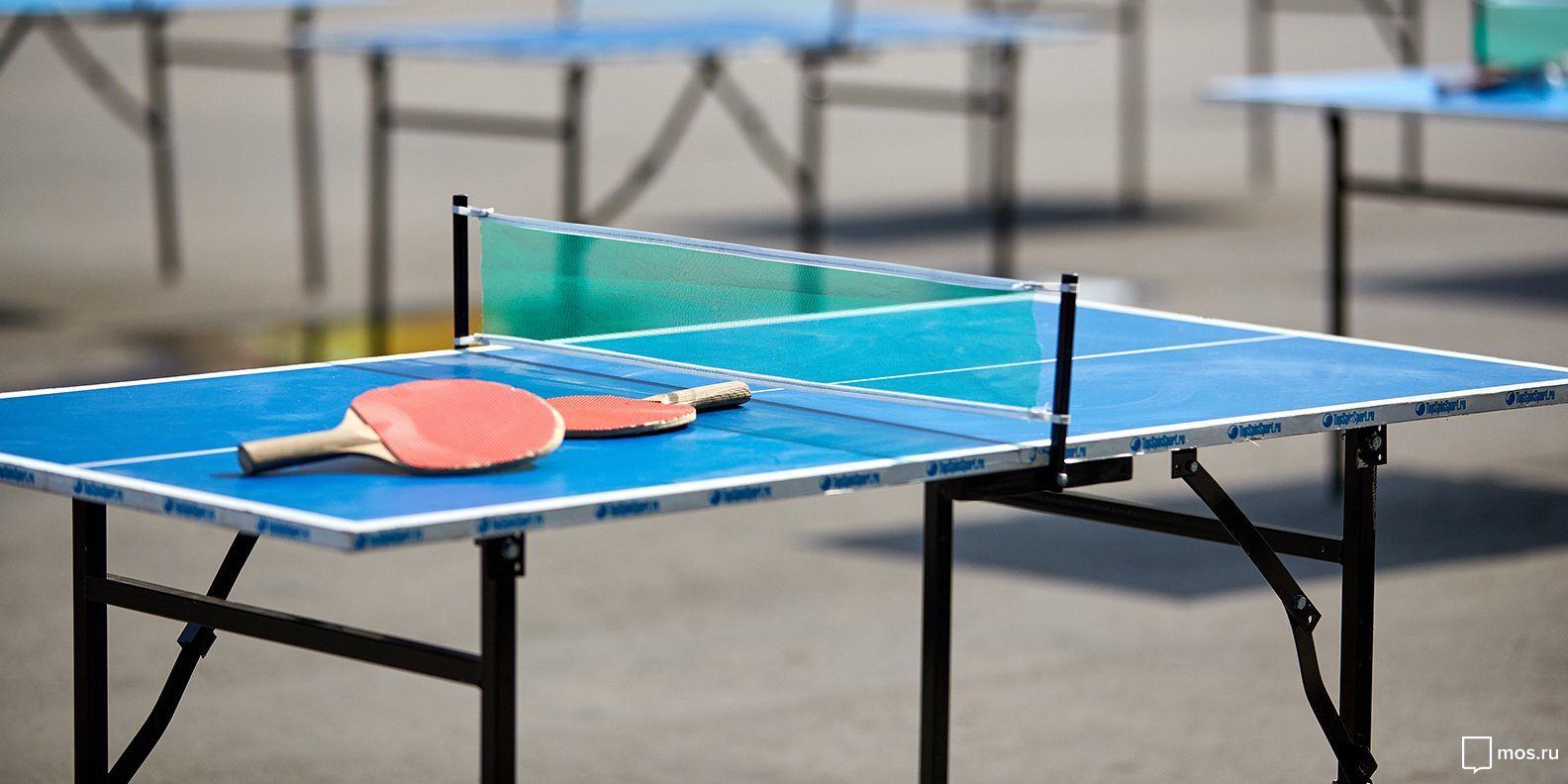 Турнир по настольному теннису в физкультурно-оздоровительном комплексе «Акулово» – события на сайте «Московские Сезоны»