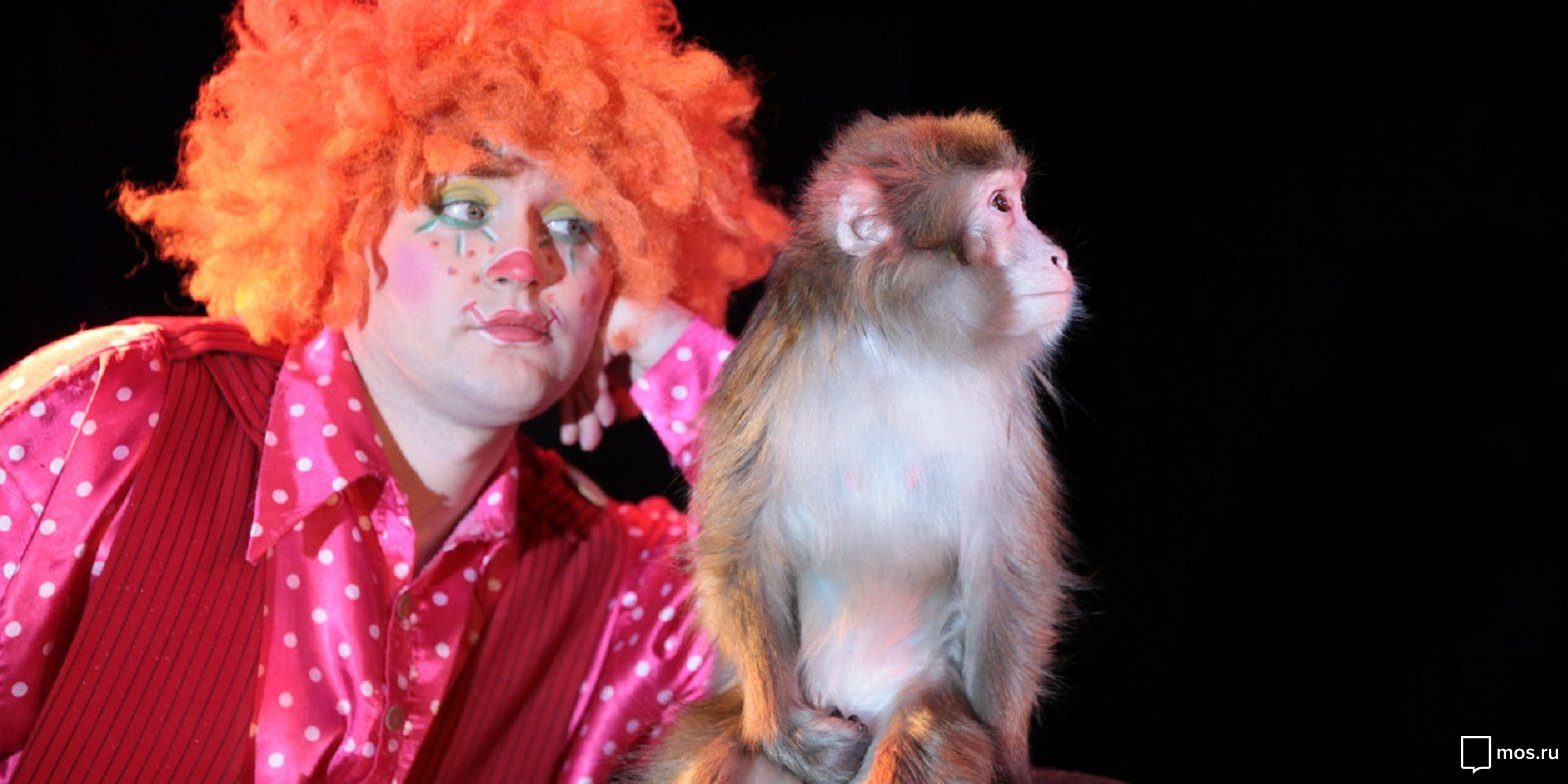 «У вас в гостях волшебники» в Доме музыки – события на сайте «Московские Сезоны»