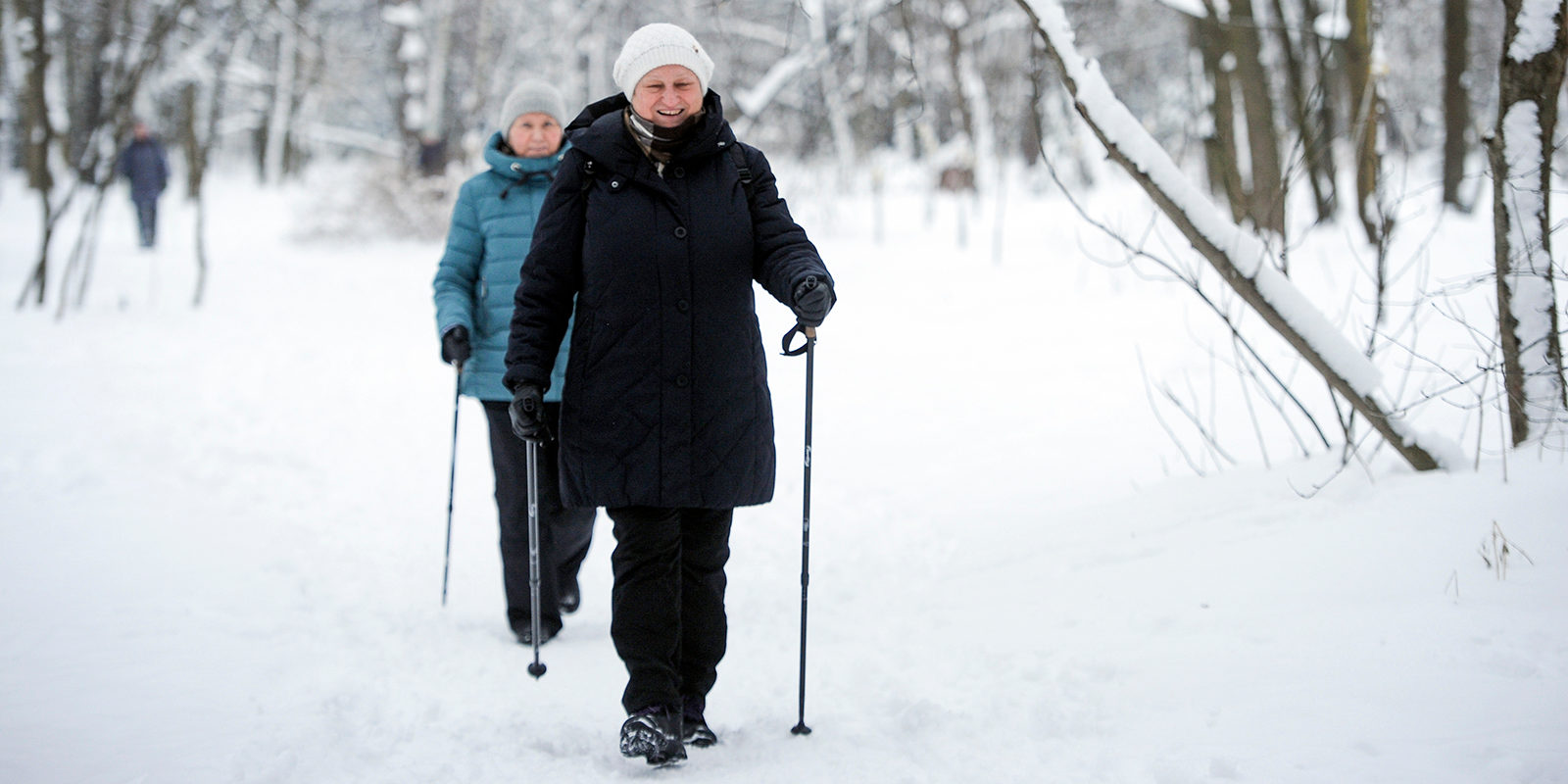 Открытый урок по скандинавской ходьбе в парке Победы – события на сайте «Московские Сезоны»