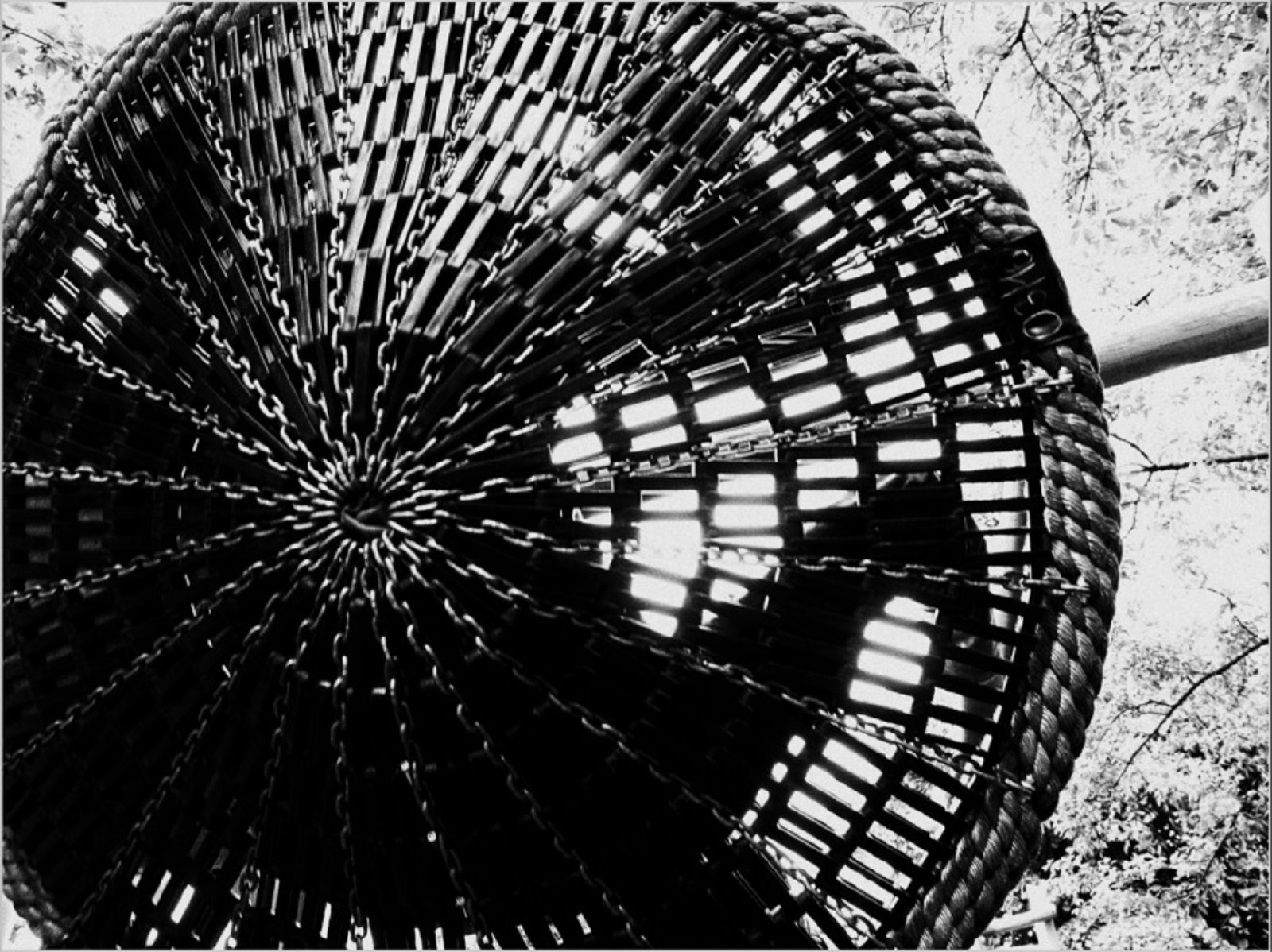 Фотовыставка «Салки» в галерее «Измайлово» – события на сайте «Московские Сезоны»