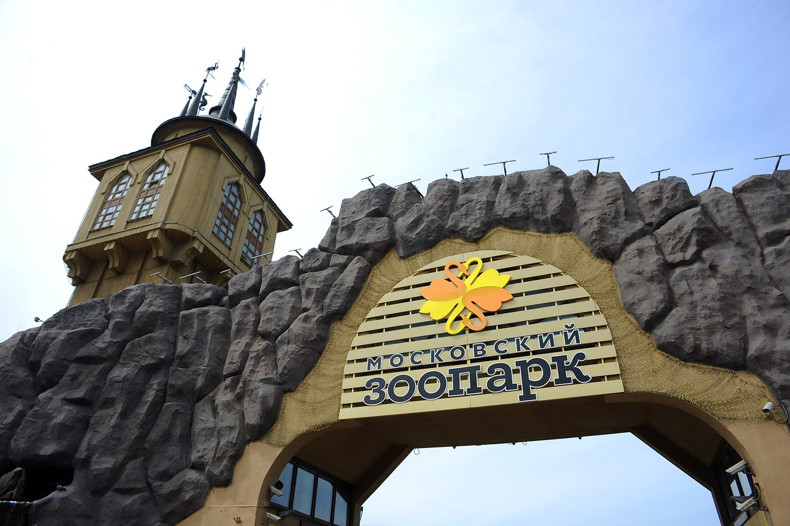 «Австралия: самые удивительные на самом маленьком» в Московском зоопарке – события на сайте «Московские Сезоны»