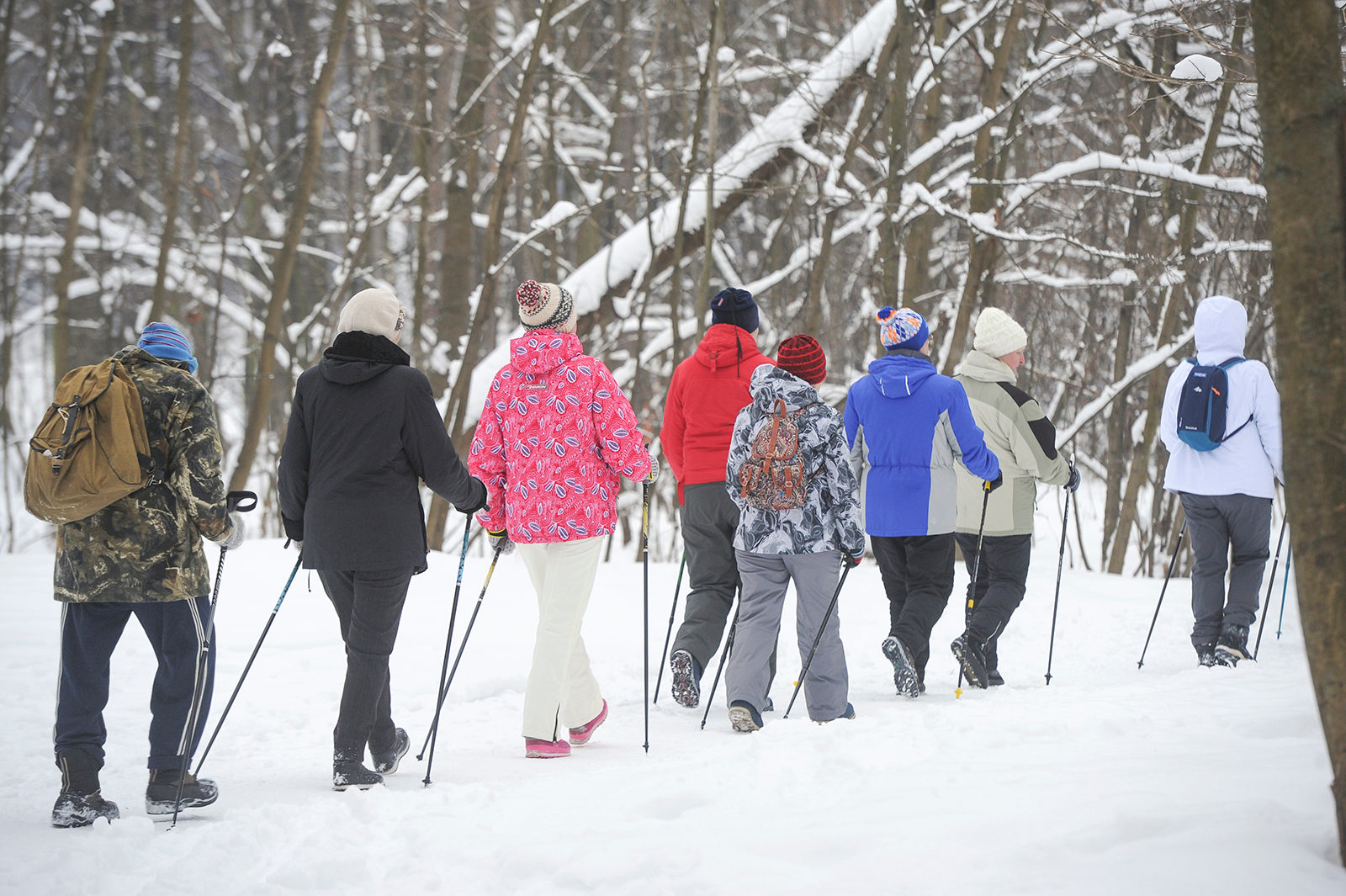 Зимние функциональные тренировки в «Музеоне» – события на сайте «Московские Сезоны»