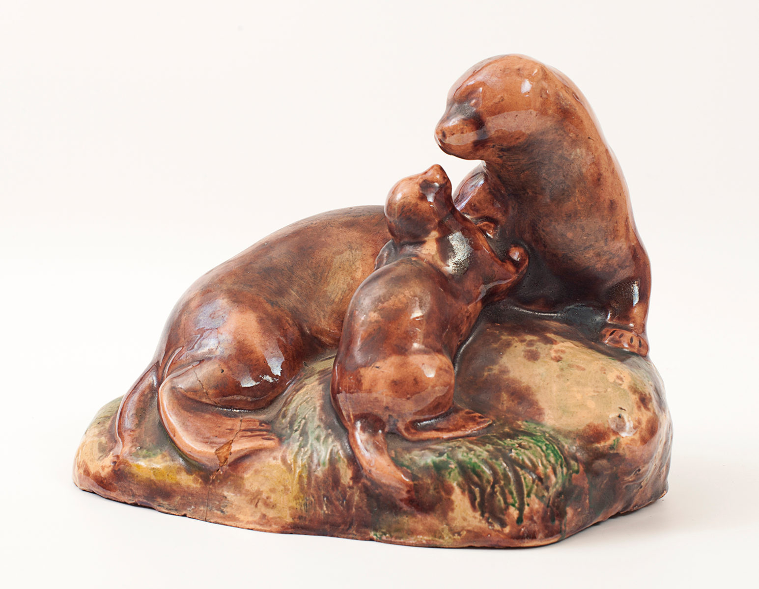 «Дары и дарители» в Биологическом музее – события на сайте «Московские Сезоны»