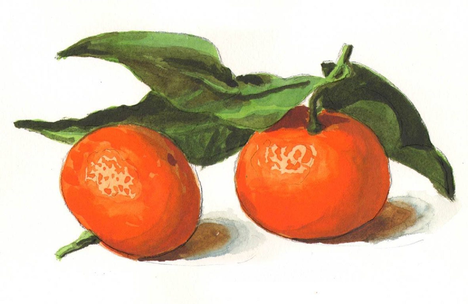 «Первые акварельные шаги» в Школе акварели Сергея Андрияки – события на сайте «Московские Сезоны»