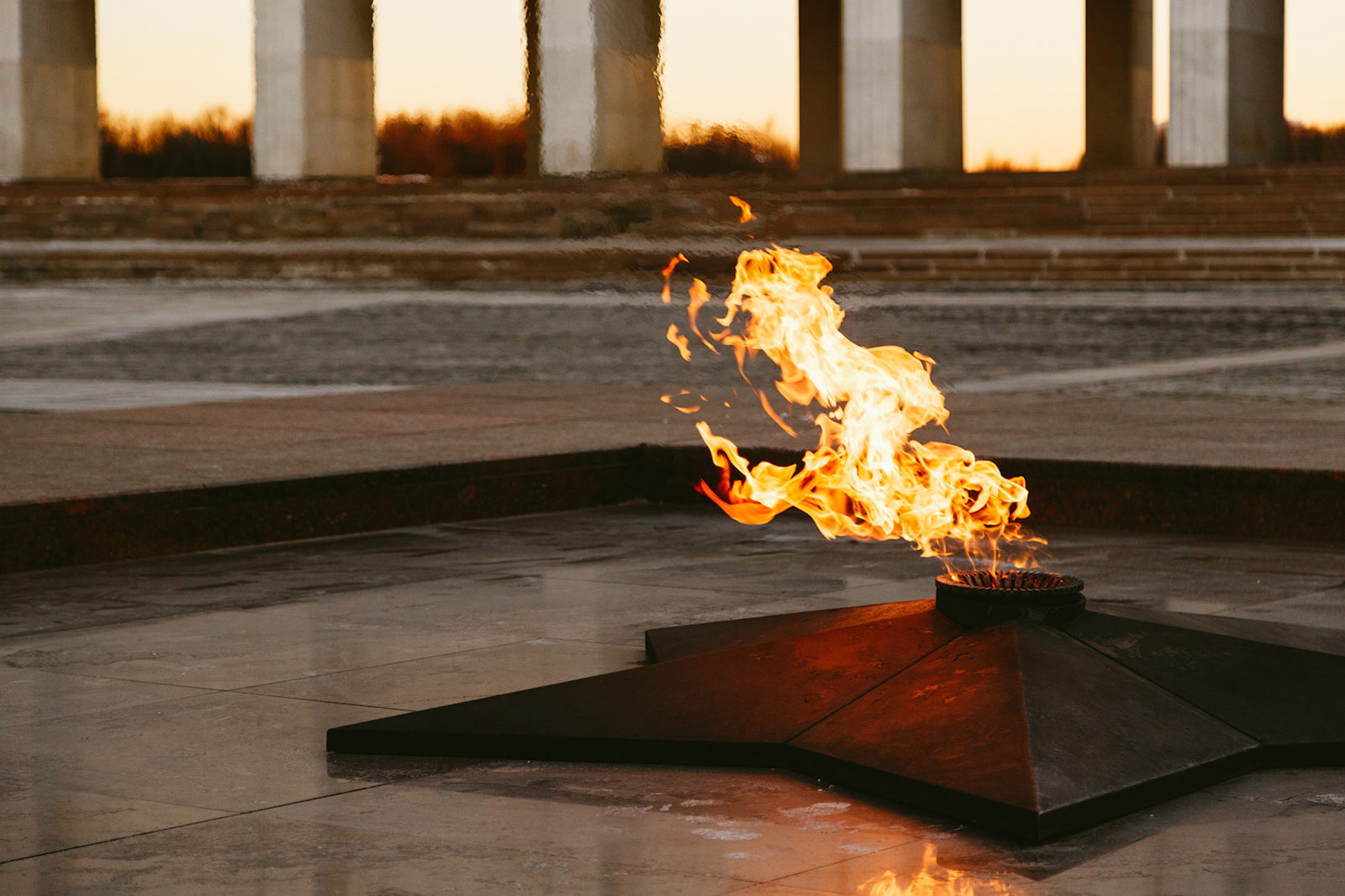 Возложение цветов в честь Дня героев Отечества в парке Победы – события на сайте «Московские Сезоны»