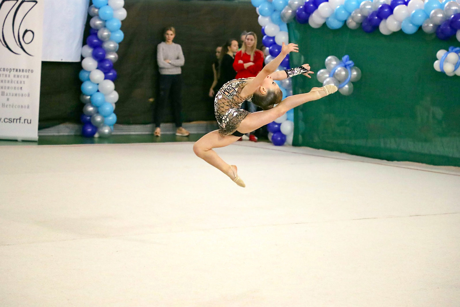 «Мелодия зимы» в физкультурно-оздоровительном комплексе «Динамика» – события на сайте «Московские Сезоны»