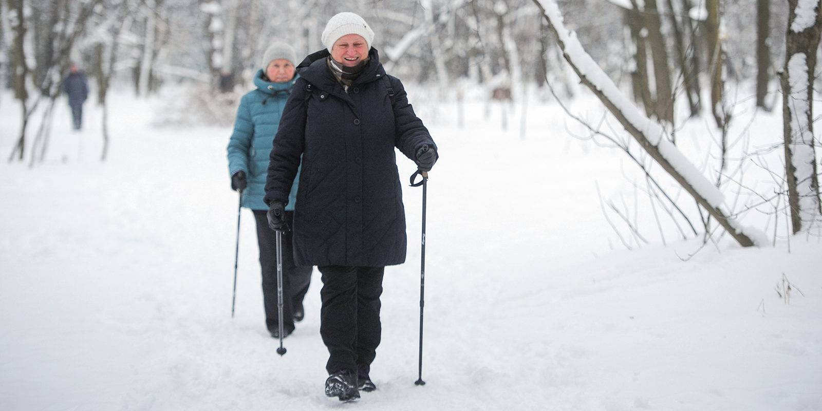 «Зимний скандинав» в парке «Сокольники» – события на сайте «Московские Сезоны»