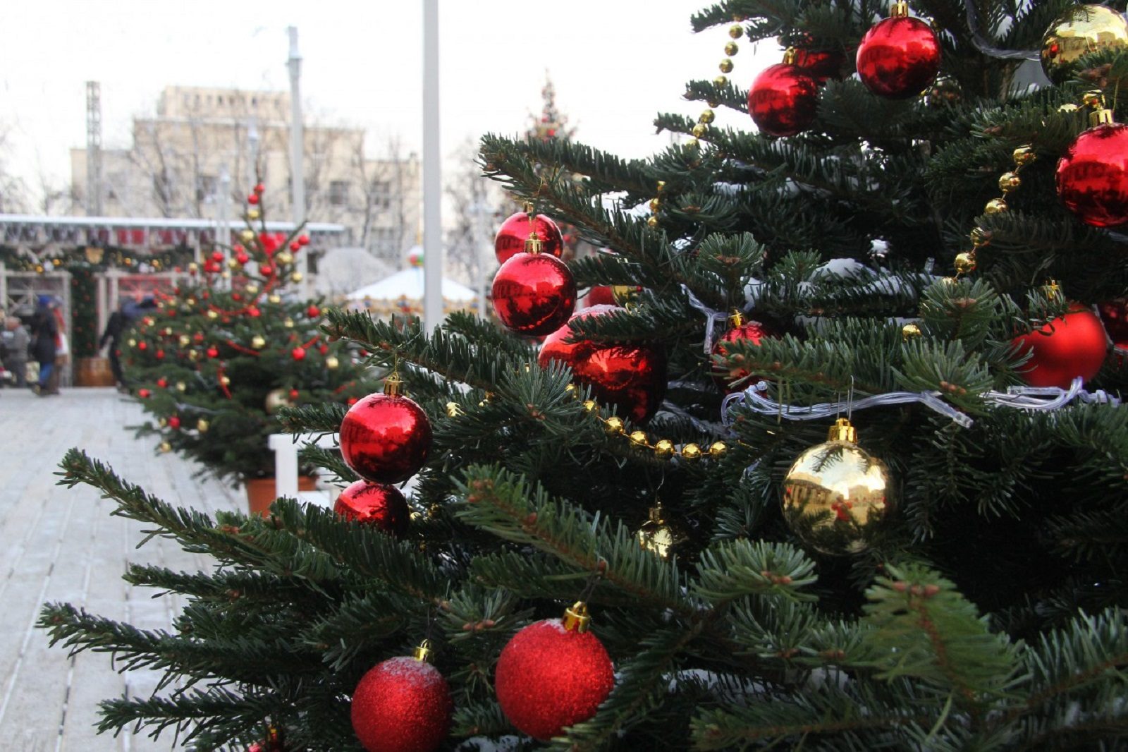 Елка префекта «Вера в чудеса, или В поиске добрых сердец» – события на сайте «Московские Сезоны»