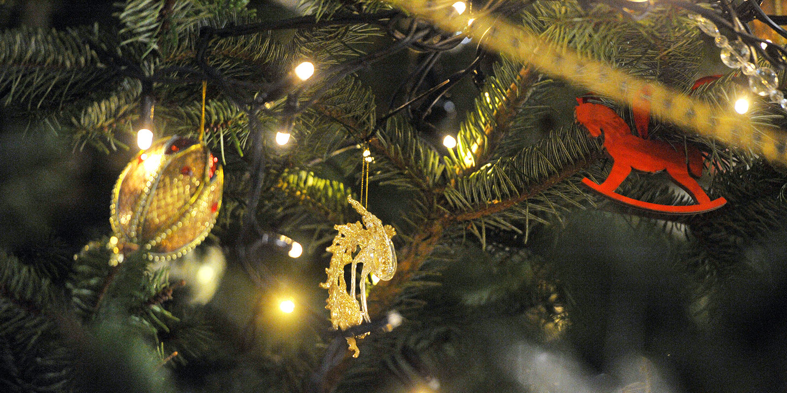 «Волшебство Нового года» в культурном центре «Митино» – события на сайте «Московские Сезоны»