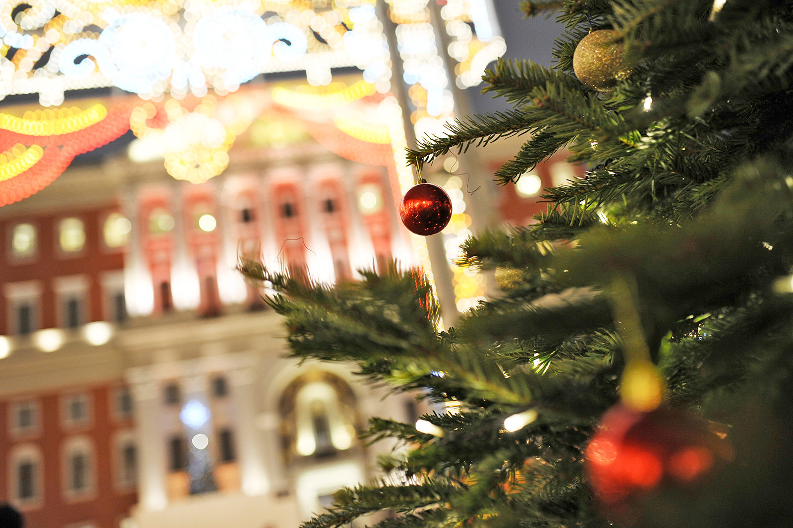 «Елка» в галерее «Нагорная» – события на сайте «Московские Сезоны»