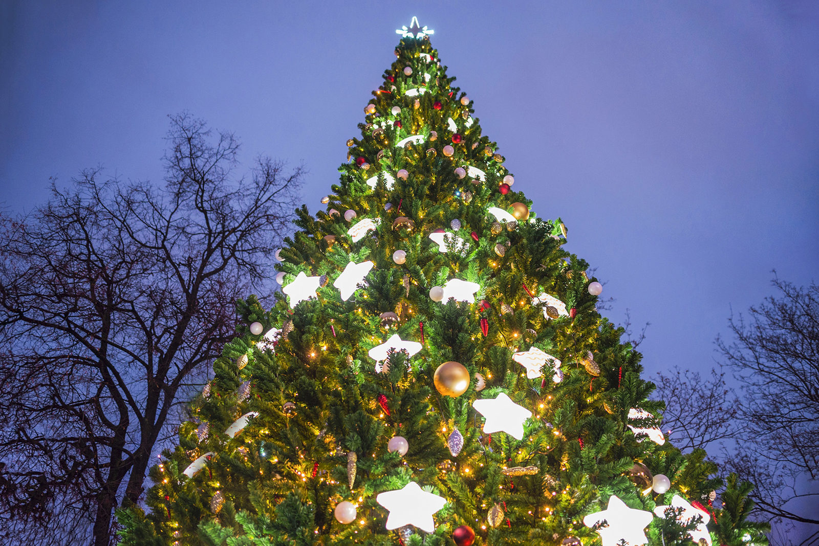 «Веселись народ — Новый год у ворот!» в Таганском парке – события на сайте «Московские Сезоны»