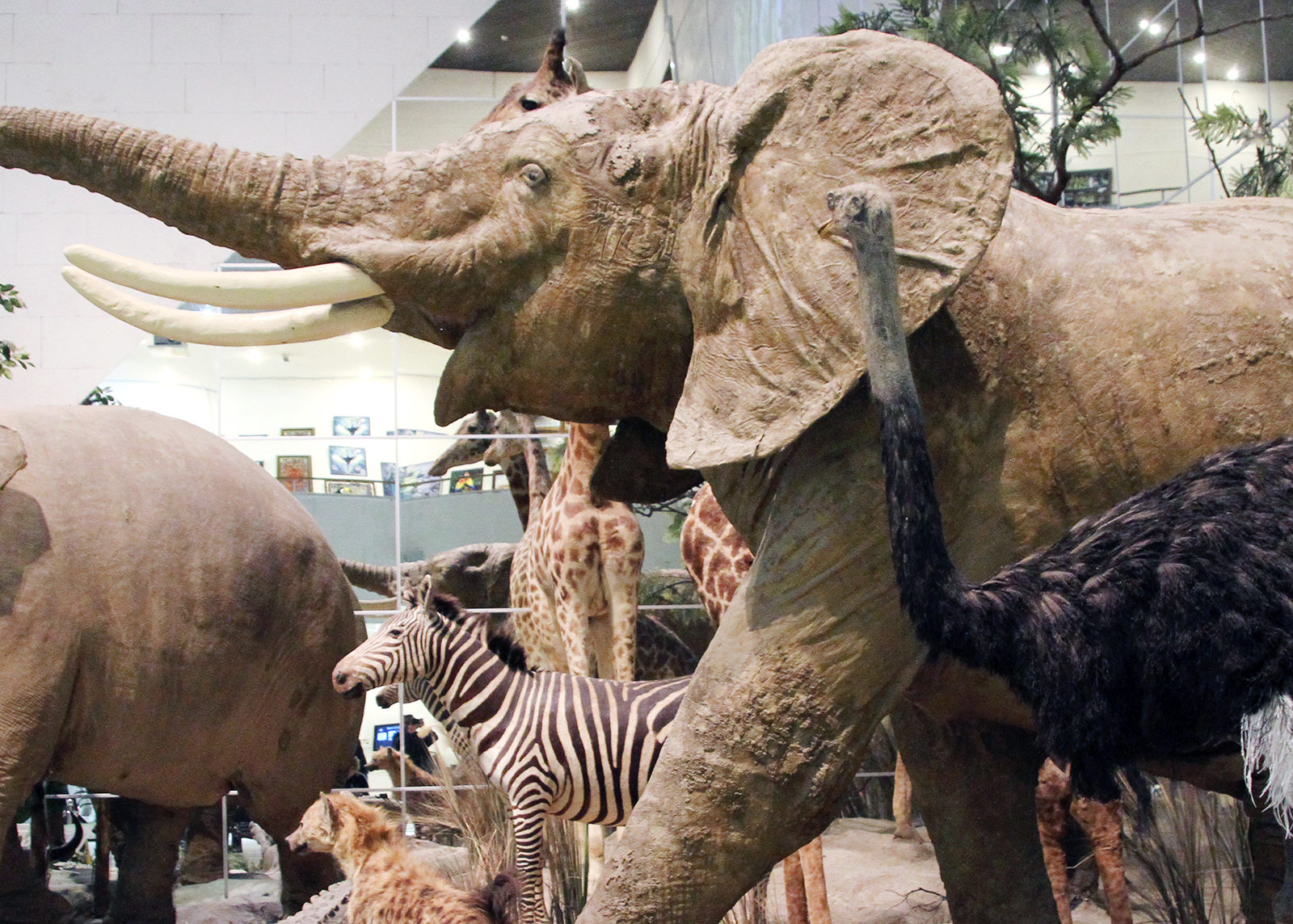 Фестиваль «День эволюции» в парке «Зарядье» – события на сайте «Московские Сезоны»