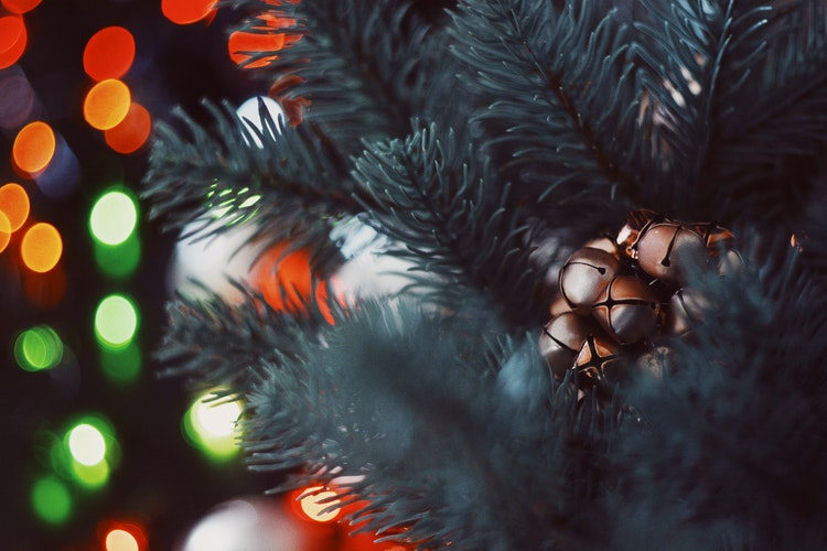 Новогоднее представление «Цирк уехал – Дед Мороз приехал» – события на сайте «Московские Сезоны»