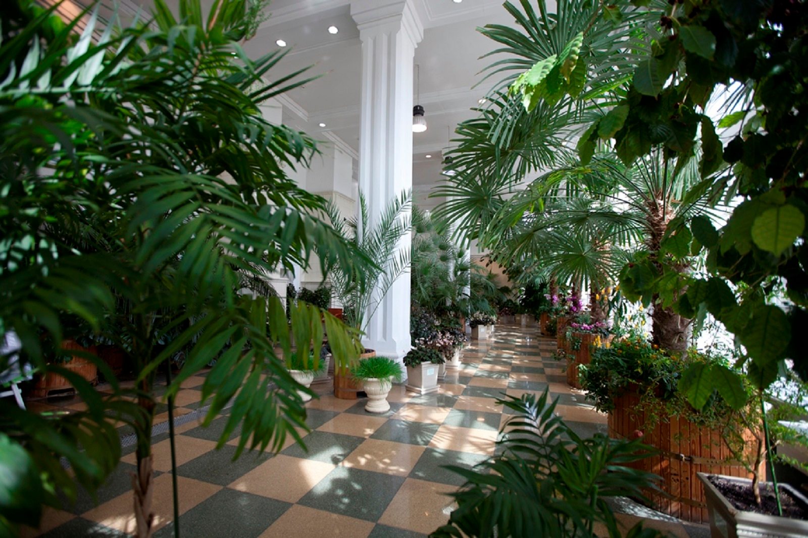 «Новый год в царстве Флоры» в музее-заповеднике «Царицыно» – события на сайте «Московские Сезоны»