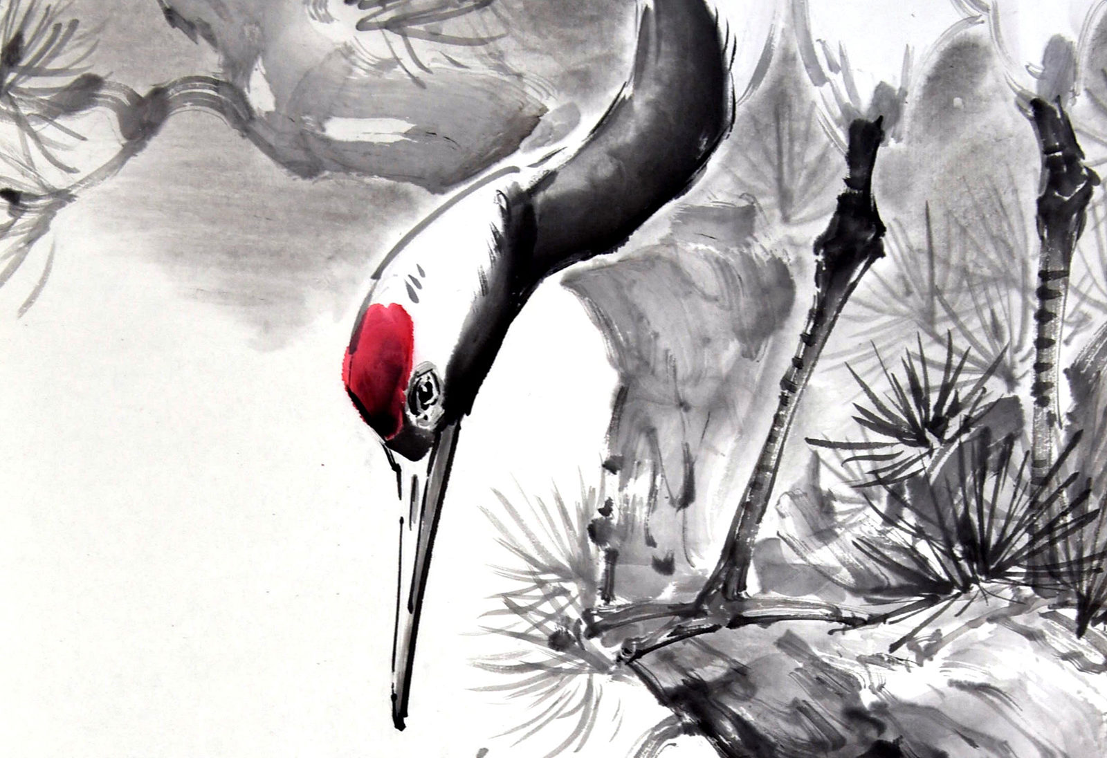 «Свитки впечатлений» в Биологическом музее – события на сайте «Московские Сезоны»