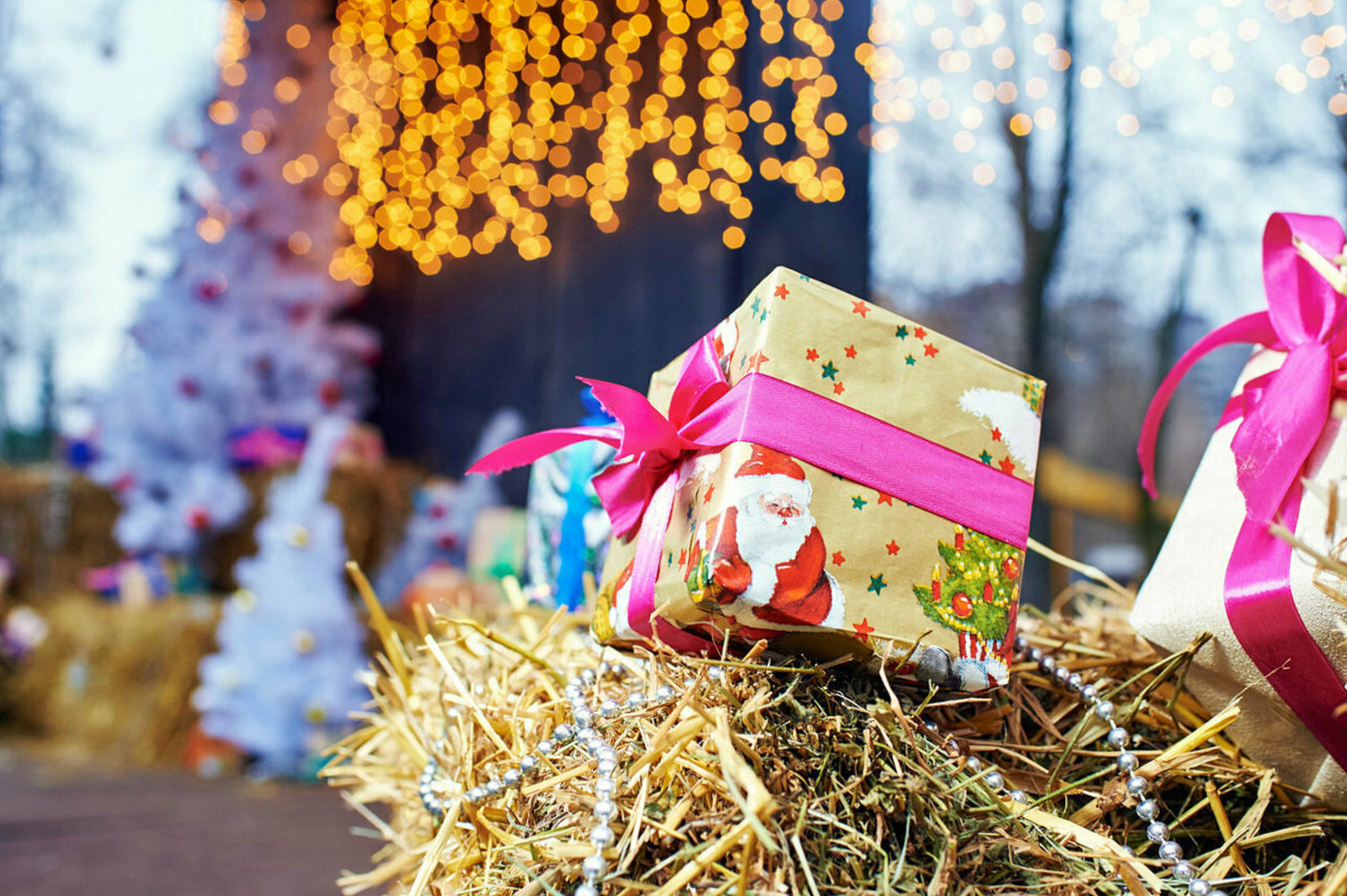 «Мастерская Деда Мороза» в Таганском парке – события на сайте «Московские Сезоны»