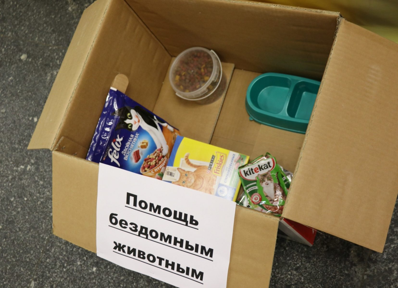 Акция «3D – День добрых дел» – события на сайте «Московские Сезоны»