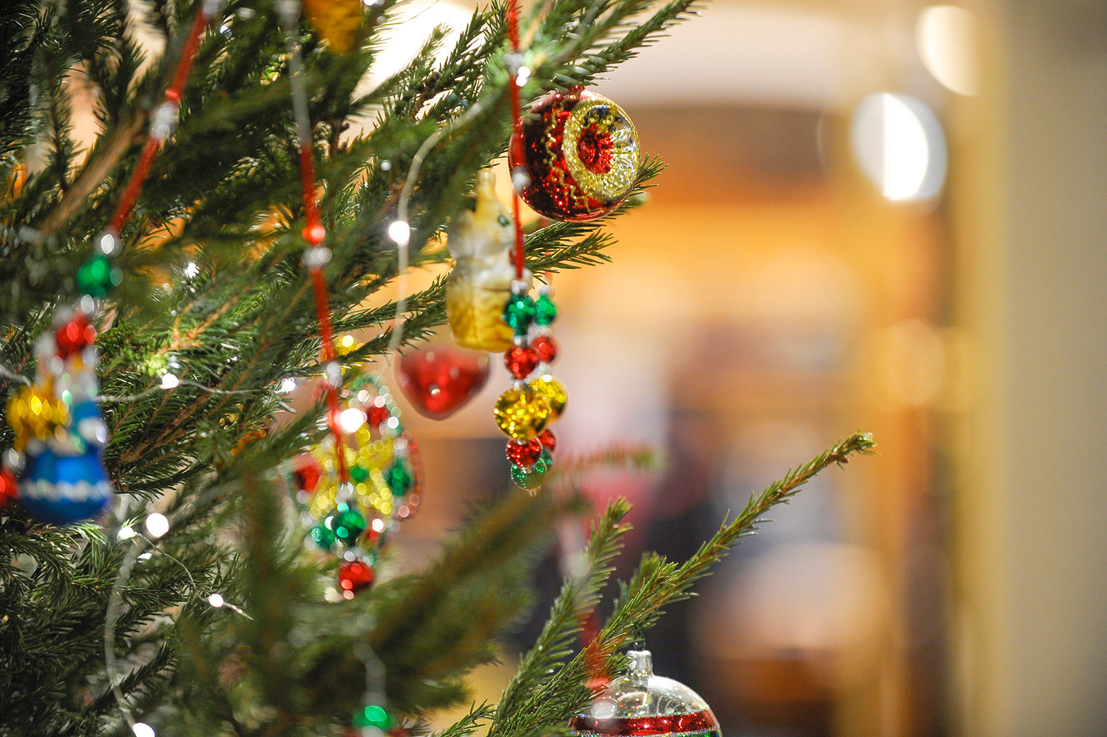 «Новогодняя страна сказочных чудес полна» в библиотеке имени Ахматовой – события на сайте «Московские Сезоны»