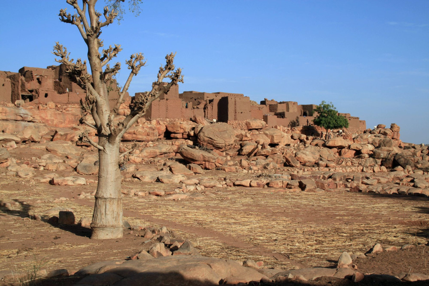 Лекция «Страна догонов» – события на сайте «Московские Сезоны»