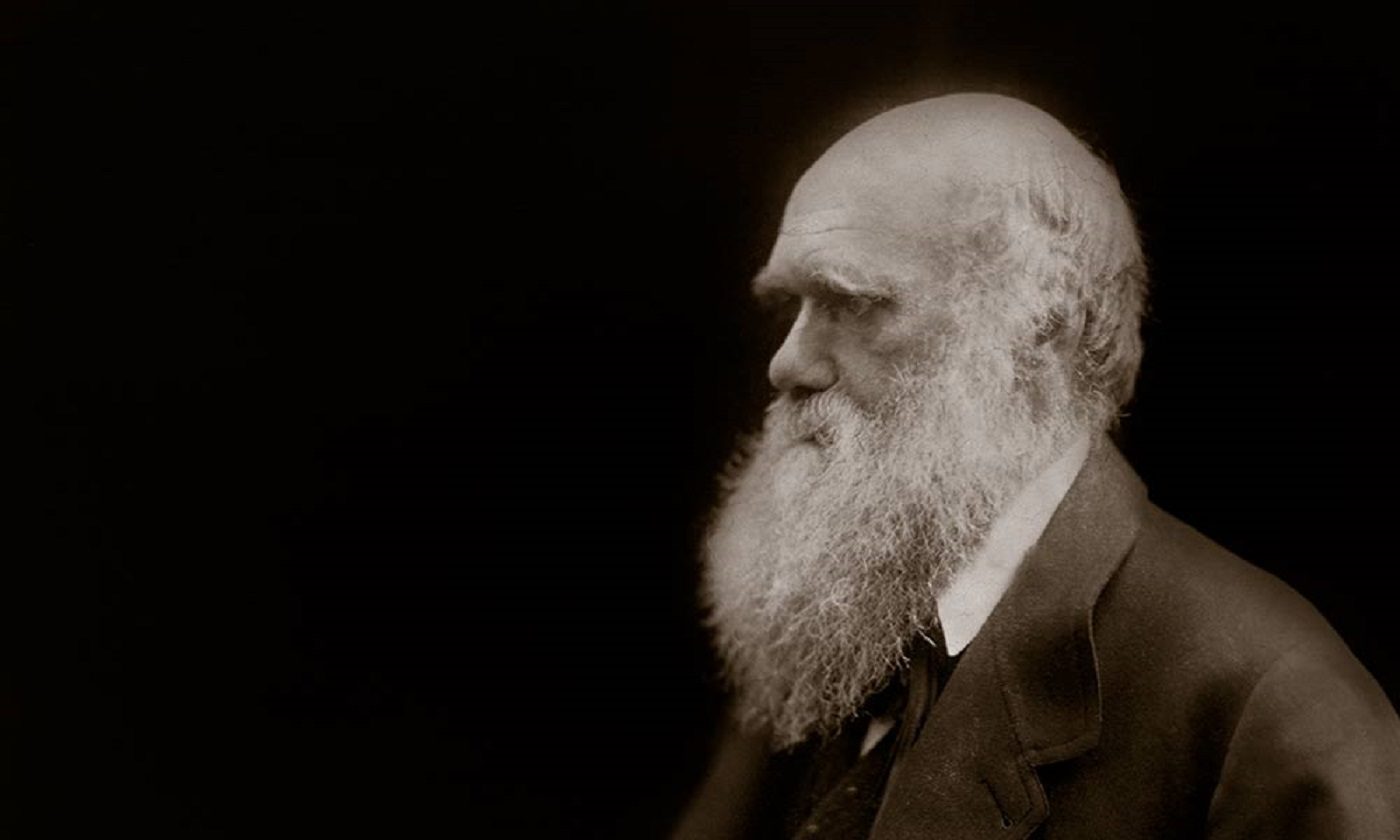 Выставка «Дарвин. Жизнь в портретах» – события на сайте «Московские Сезоны»