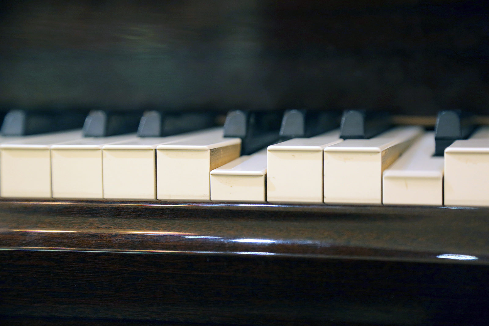 Фортепианный дуэт Lege Artis в «Коломенском» – события на сайте «Московские Сезоны»