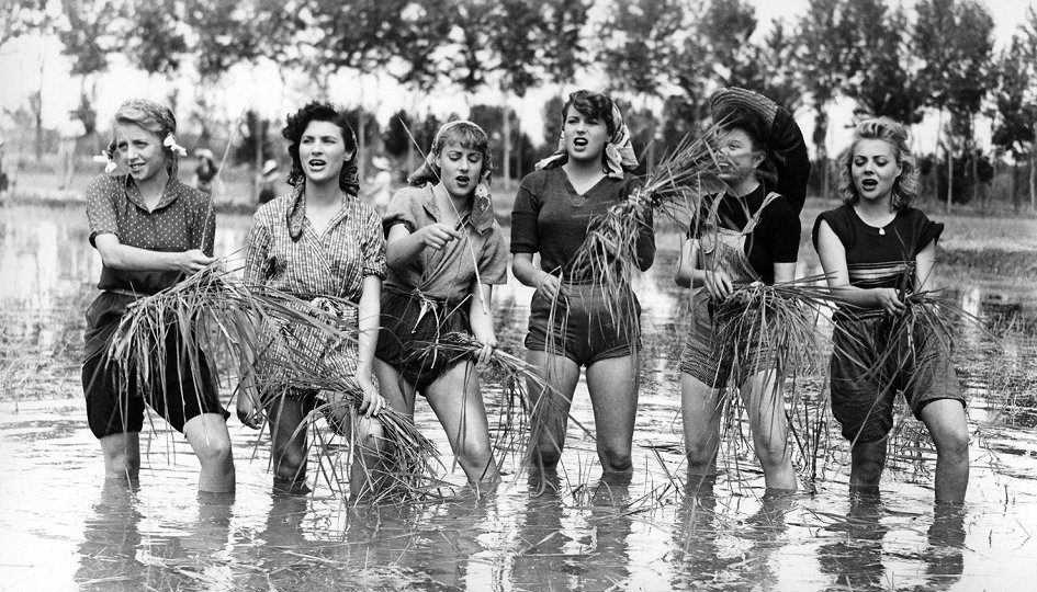 Показ фильма «Горький рис» – события на сайте «Московские Сезоны»