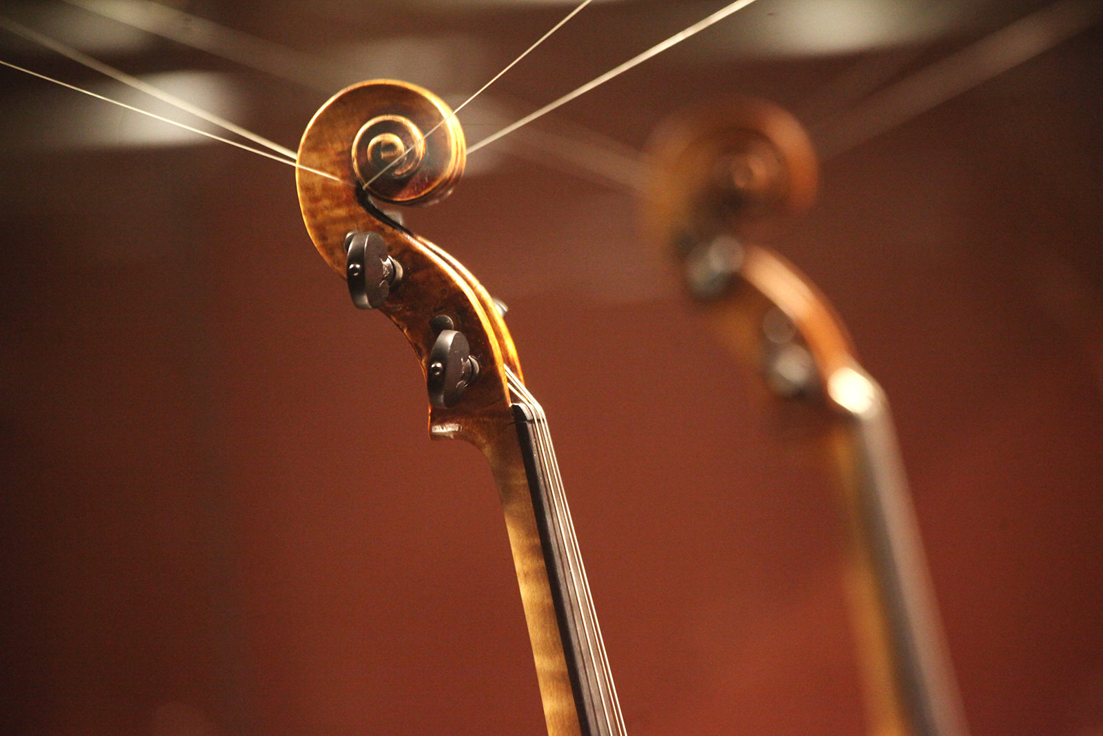 «Музыка Австрии» в Москонцерте на Пушечной – события на сайте «Московские Сезоны»