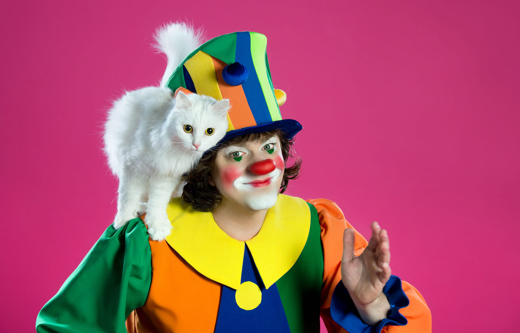 Спектакль «Кошки в городе 2.0» – события на сайте «Московские Сезоны»