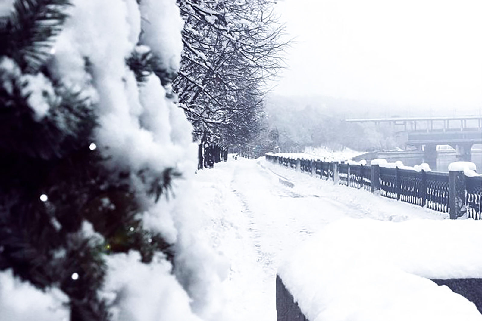 Экскурсии и скандинавская ходьба в Нескучном саду – события на сайте «Московские Сезоны»