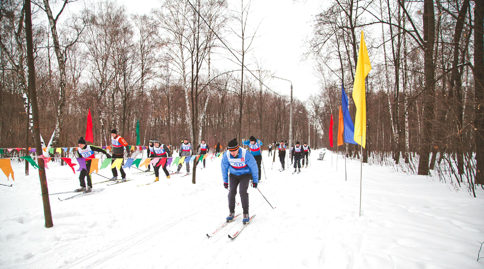 «Живи до 100» в парке «Сокольники» – события на сайте «Московские Сезоны»
