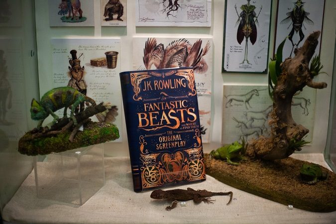 Программа-квест «Выпускной в школе чудесного естествознания имени Гарри Поттера» – события на сайте «Московские Сезоны»