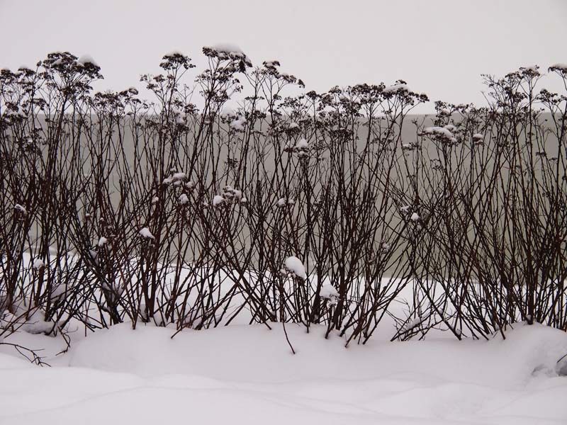 Выставка «Снег. Nix. Snow» – события на сайте «Московские Сезоны»