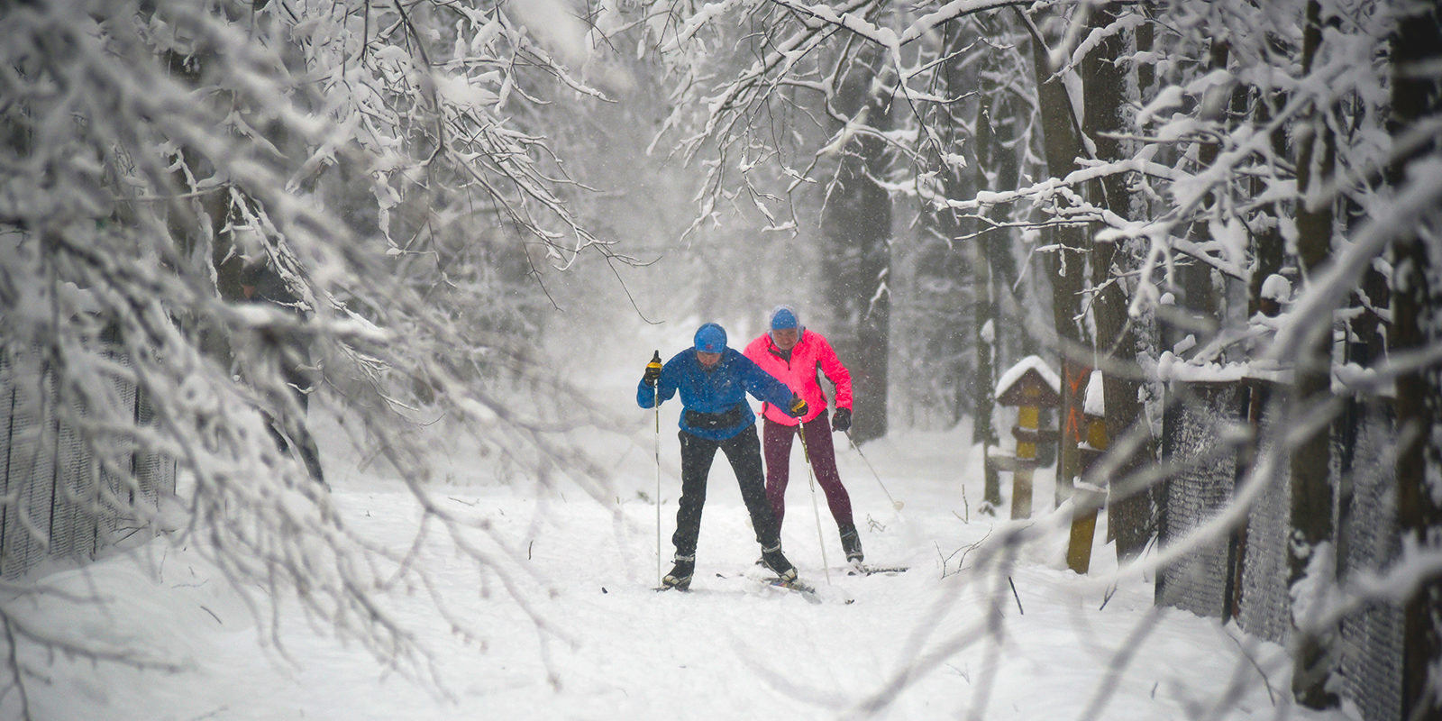 Беговые лыжи в Измайловском парке – события на сайте «Московские Сезоны»