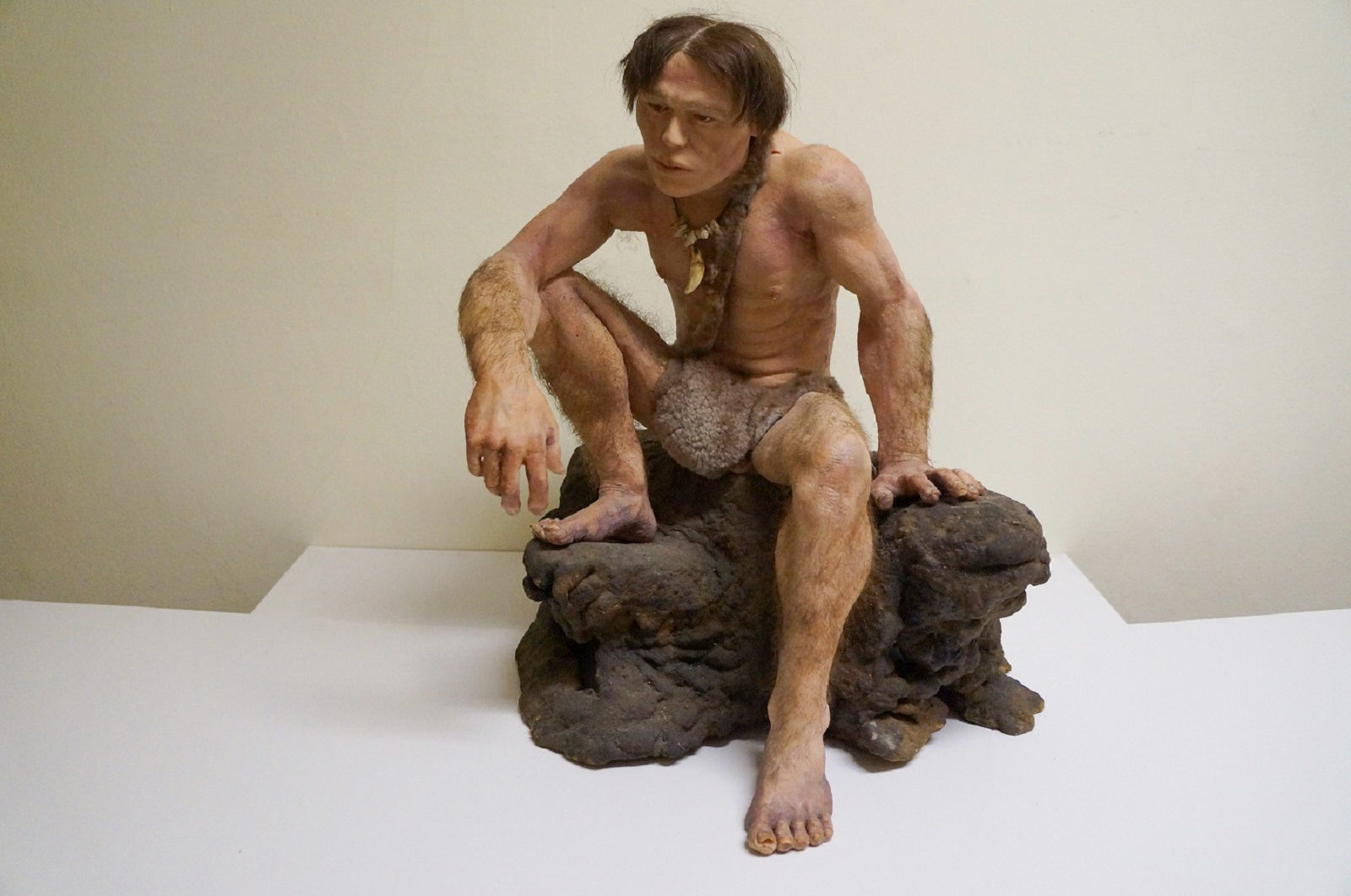 Интерактивные занятия «Жизнь в каменном веке» в Биологическом музее – события на сайте «Московские Сезоны»