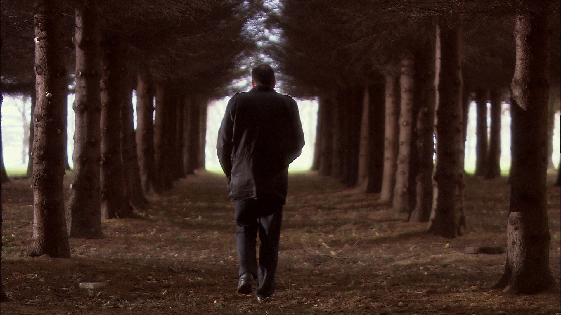 Выставка работ Яана Тоомика в Московском музее современного искусства – события на сайте «Московские Сезоны»