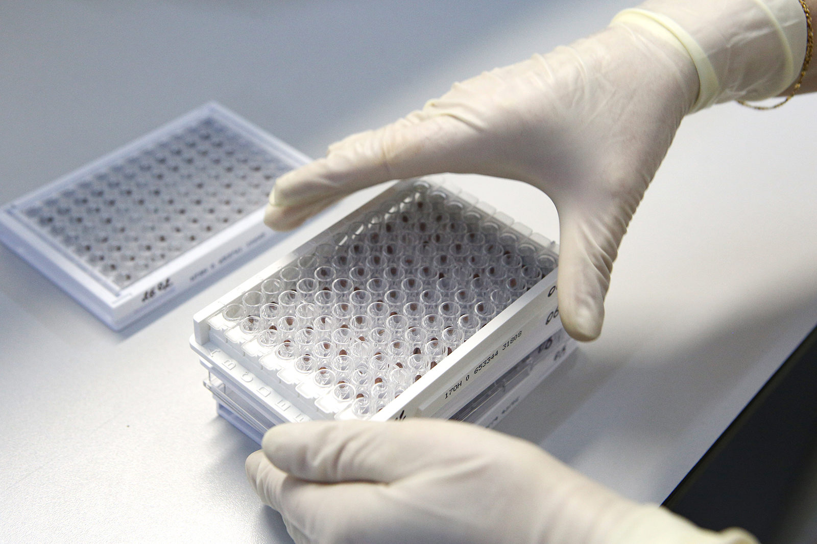 «Онкология сегодня: как защититься, победить и не бояться?» в парке «Зарядье» – события на сайте «Московские Сезоны»